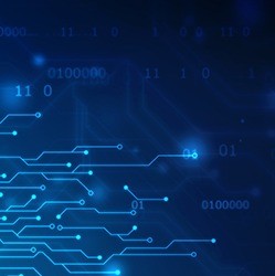 Data Auditing