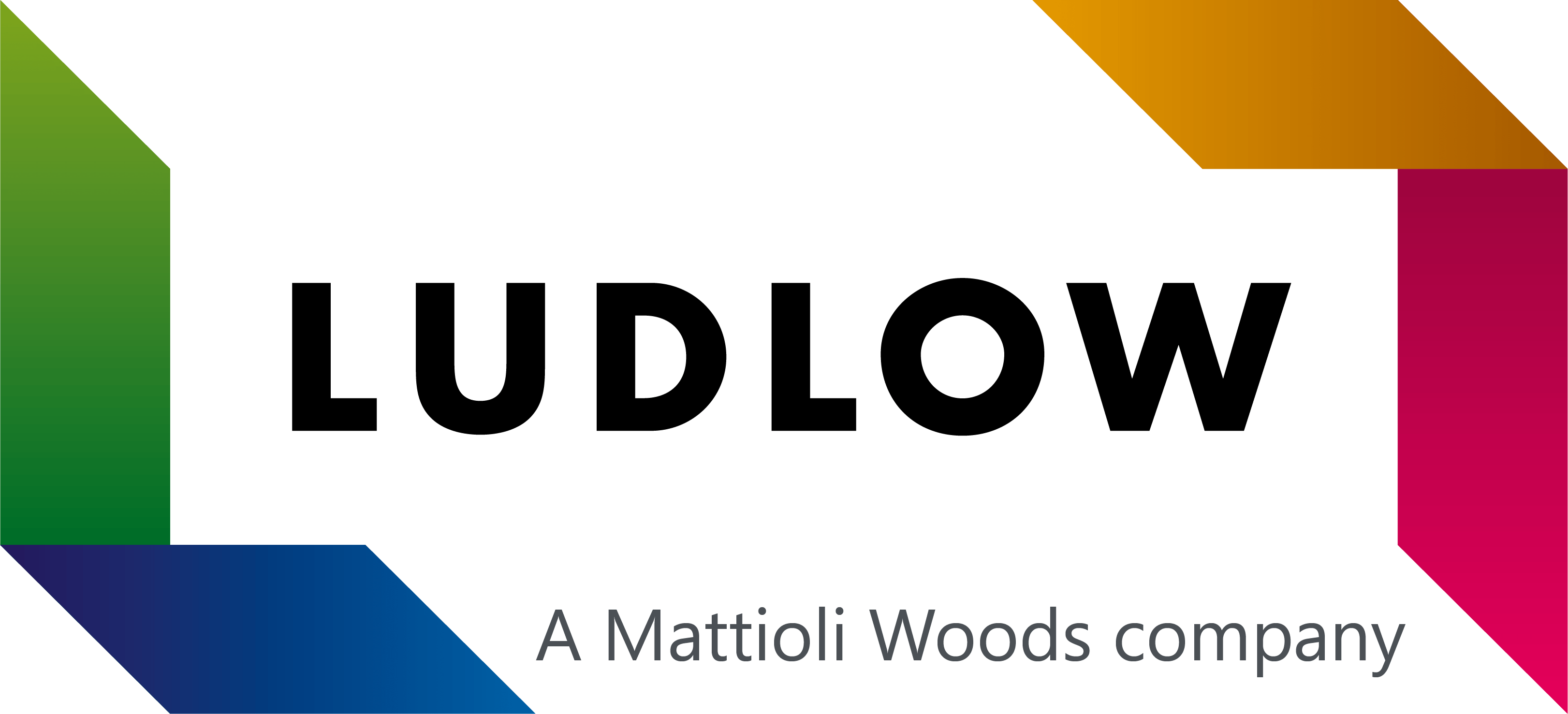 Ludlow Wealth Management Group